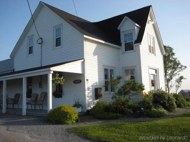 Moore'S Specialties Fundy Bay House Rental Gardner Creek Екстериор снимка